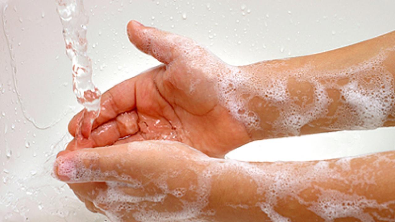 soaped-up hands under faucet  