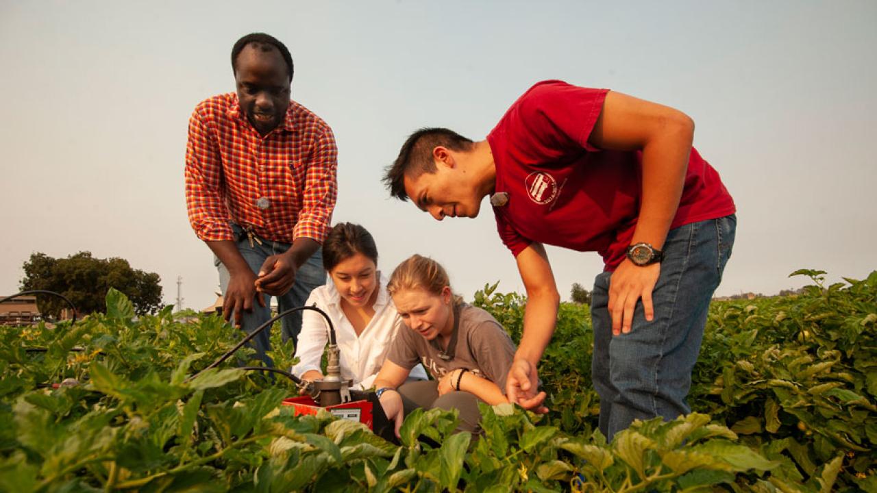 Faculty member and students in agricultural field