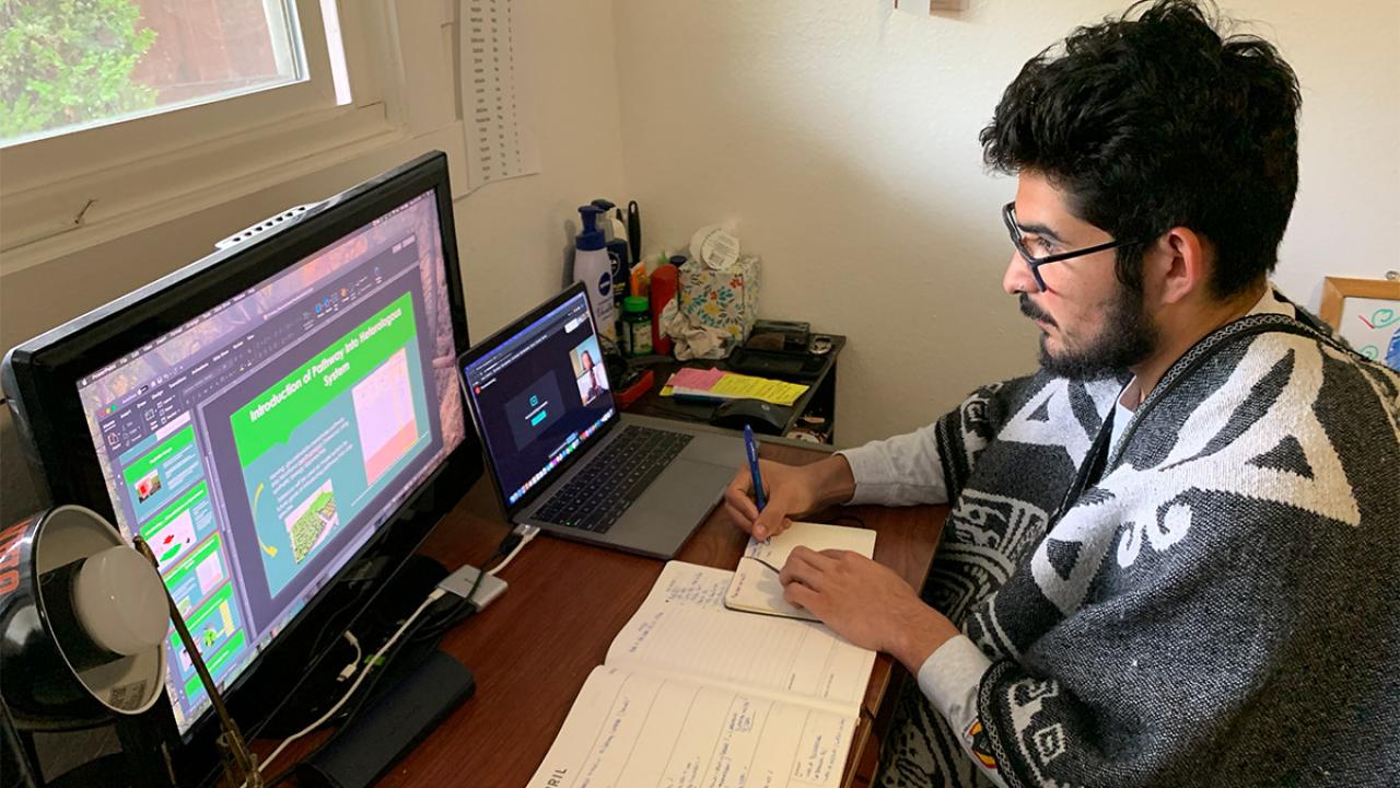 Student sits in front of computer.