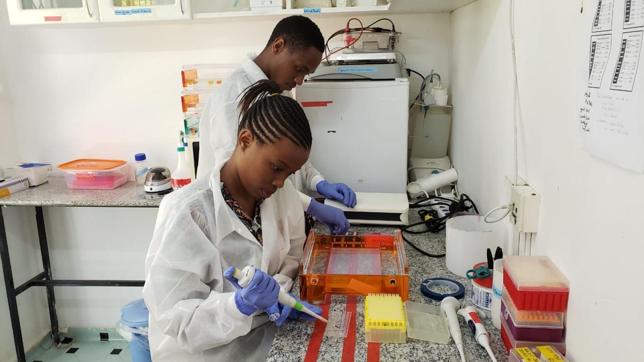Scientists in laboratory