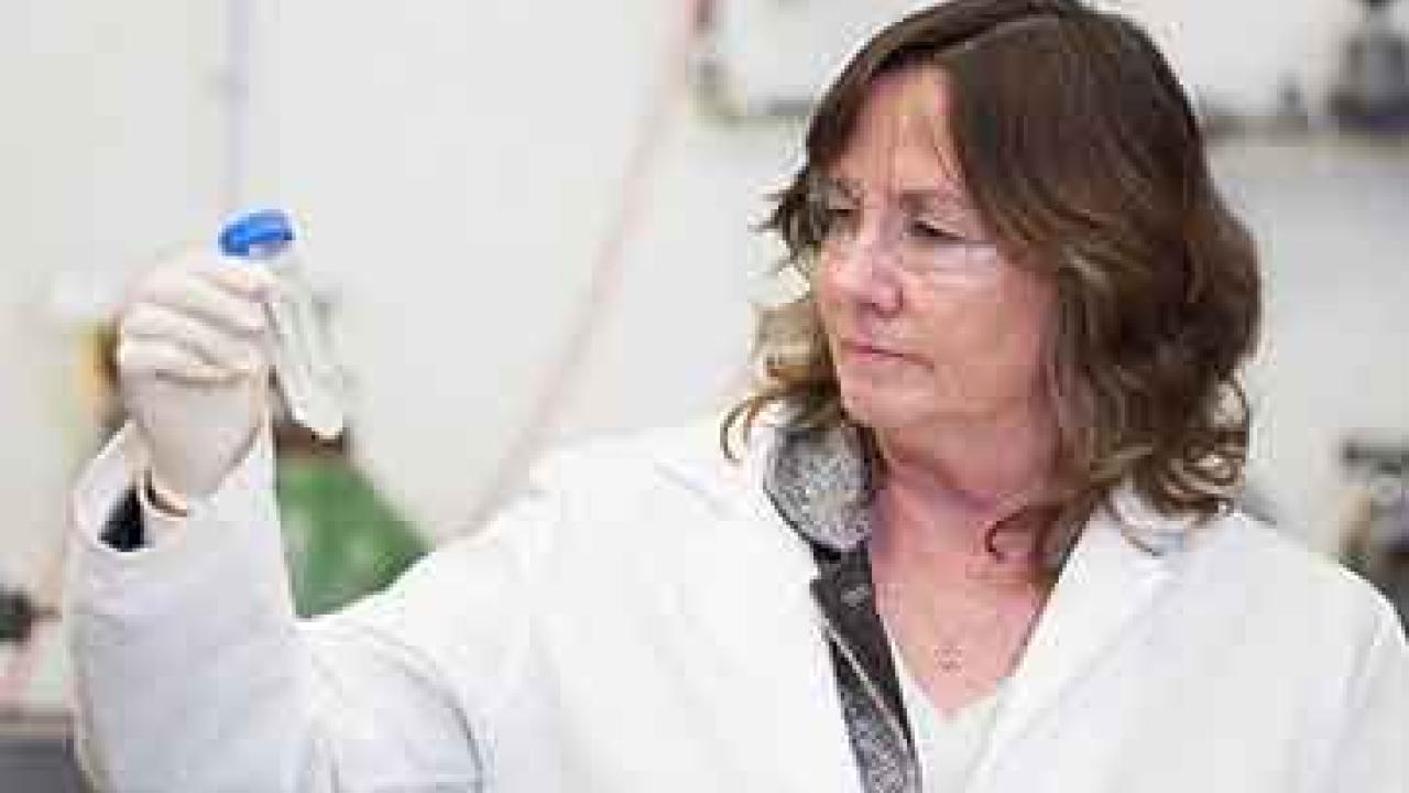 Photo: Professor Karen McDonald in a lab