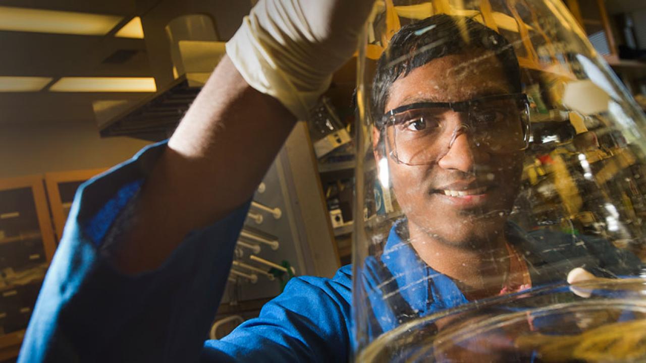 Male student works in campus lab