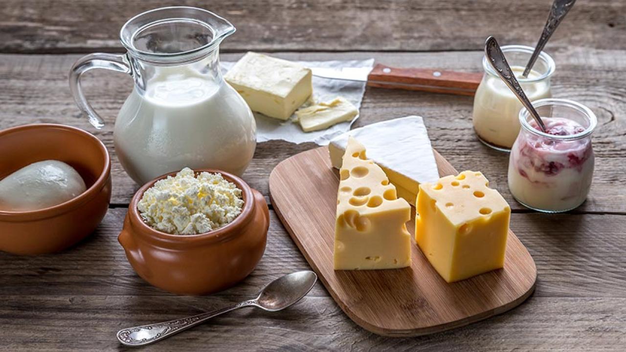 Pitcher of milk with cheese on board and containers of yogurt and cheese curds