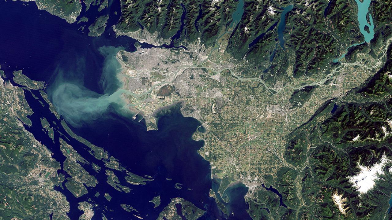 Salish sea