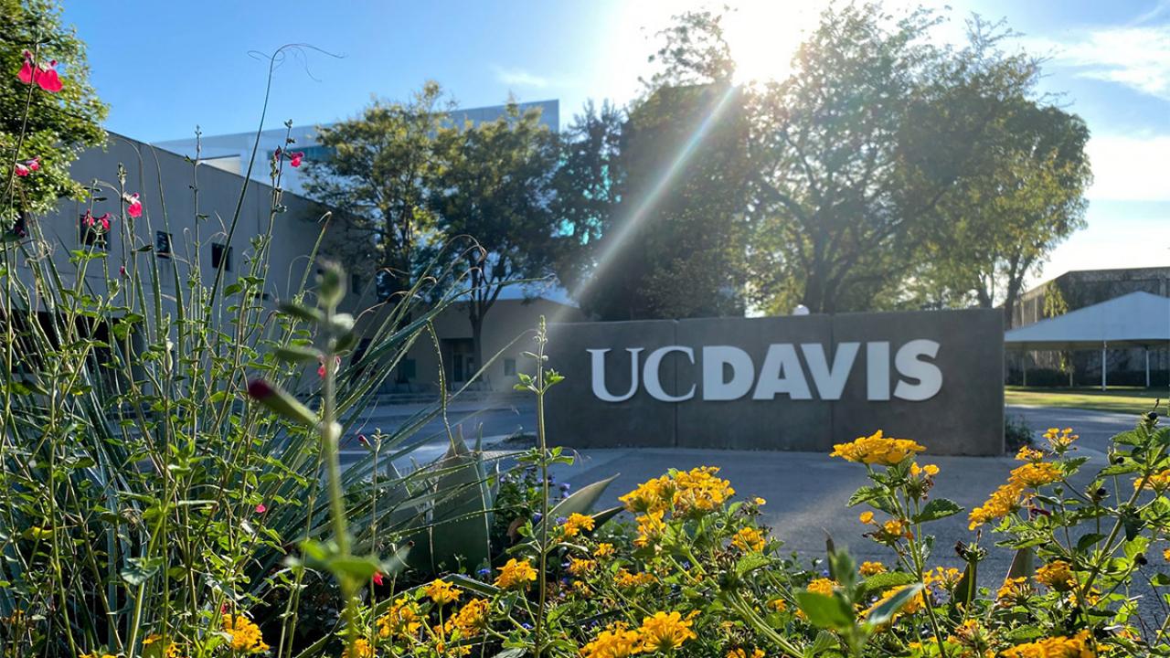 Concrete sign with UC Davis logo