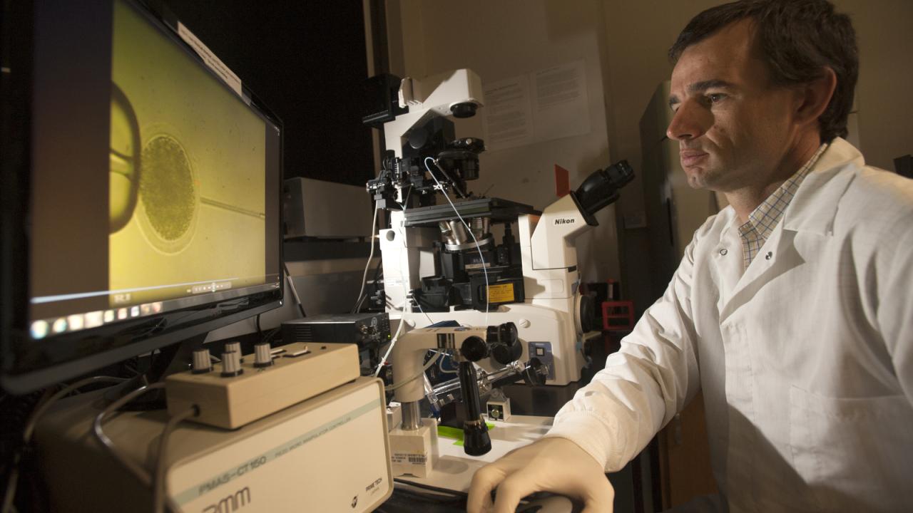 Pablo Ross looking at a microscope.