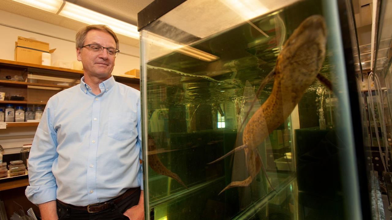 Peter Wainwright next to a fish tank.