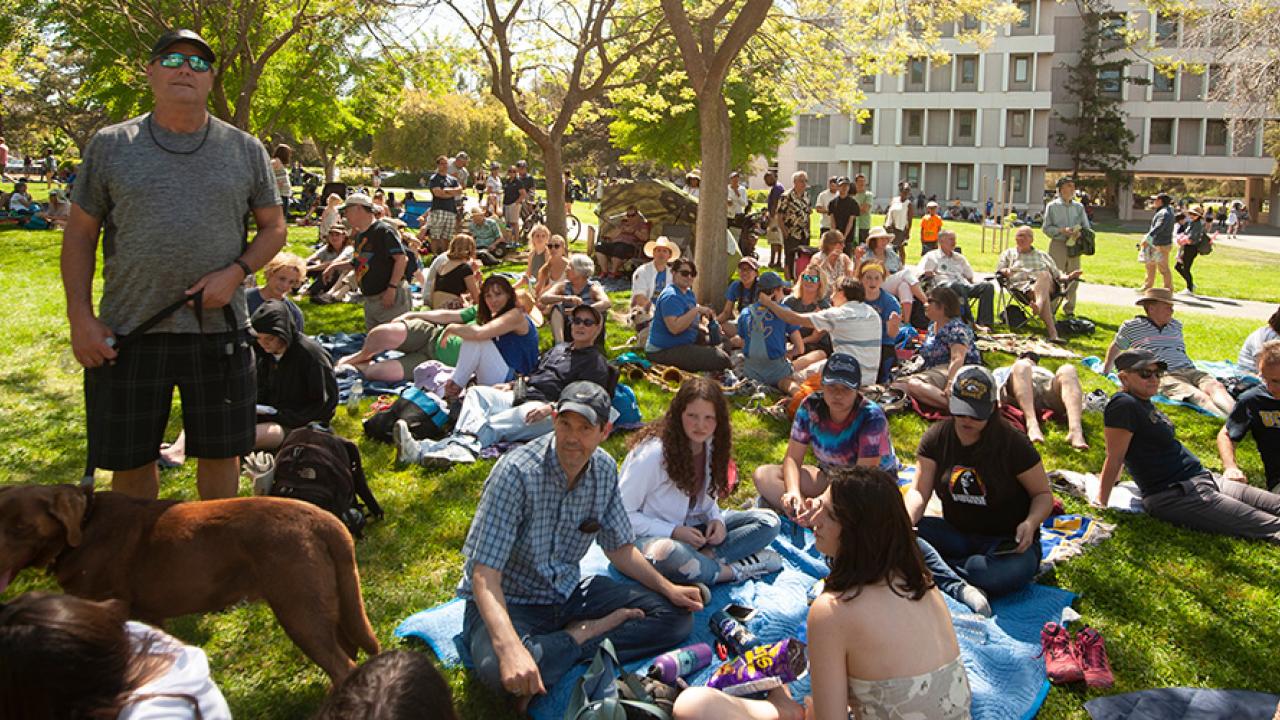 picnic day events at uc davis