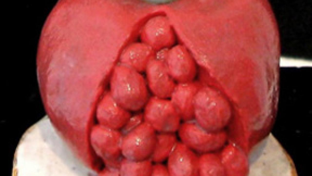 Photo of artist's work: Pomegranata, ceramic.