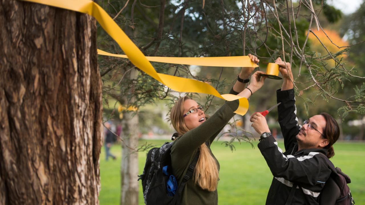 Photo: Two students wrap yellow ribbon around a tree.