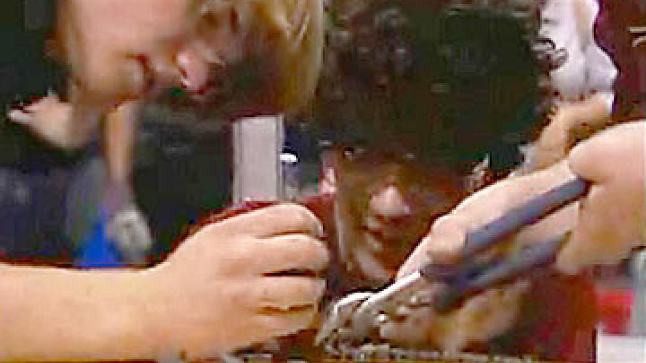 Photo: two guys involved in tool work