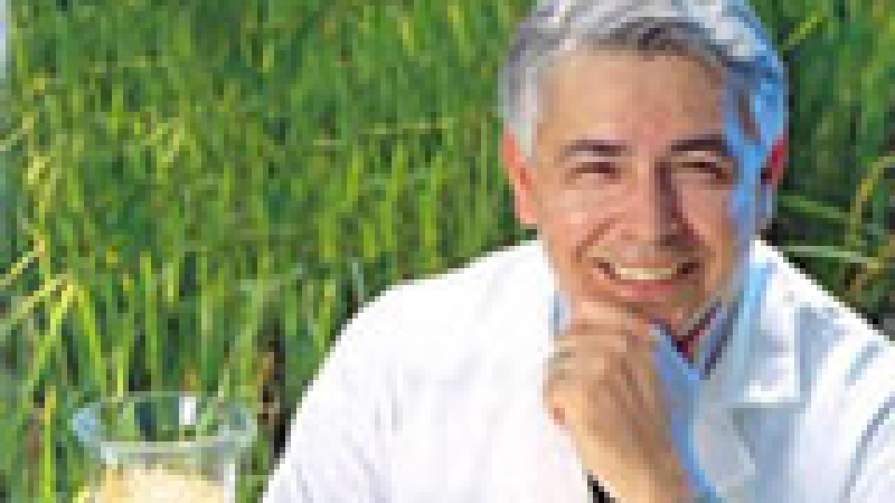 Ray Rodriguez