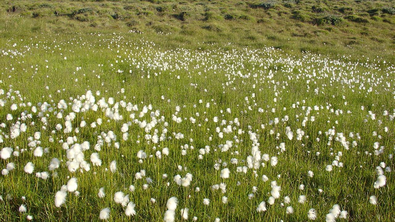 Spring in Greenland