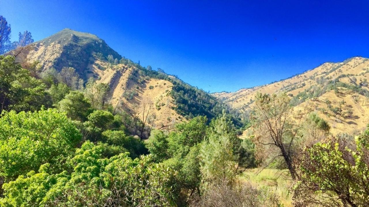 Stebbins Cold Canyon reserve landscape