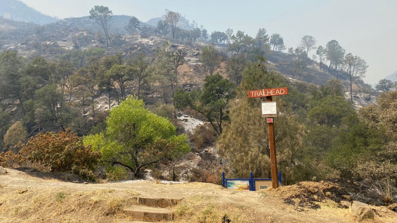 Trailhead