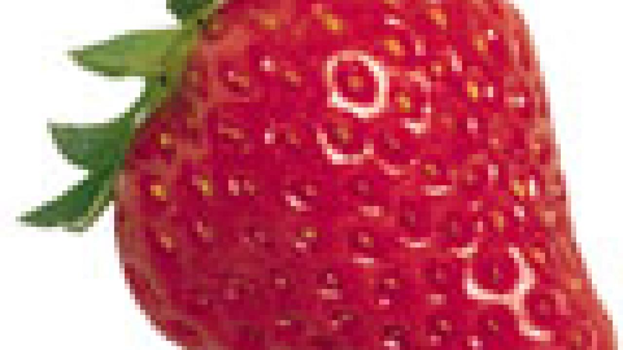 Photo: strawberry