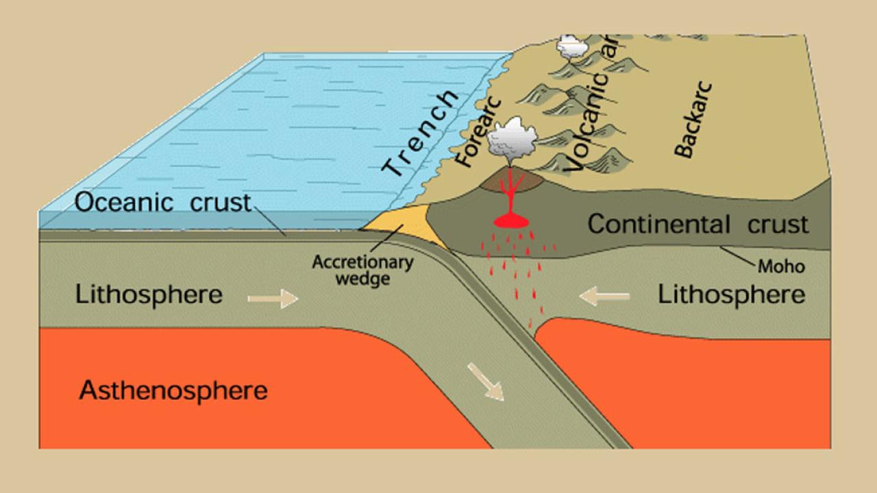 Cross section of a subduction zone