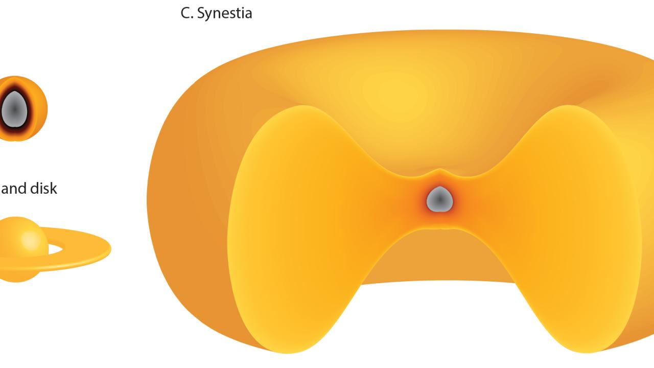 Planet, disk and planet and synestia