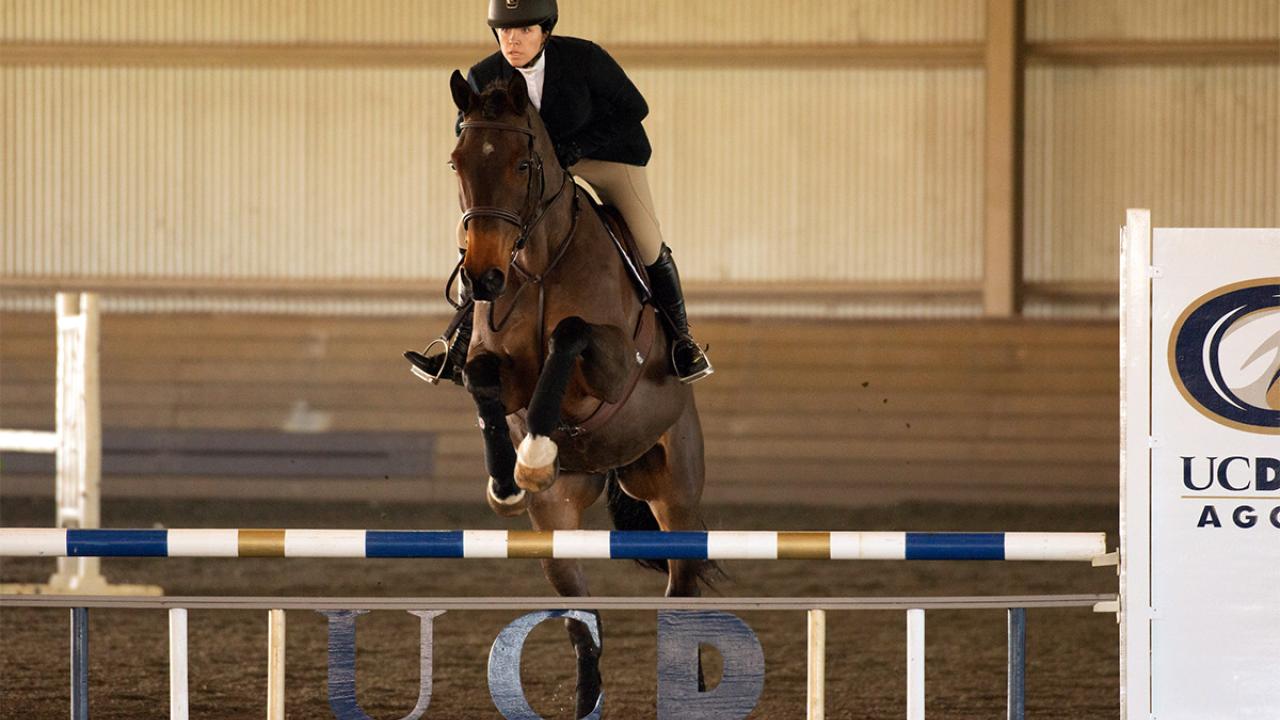 A woman on a horse jumps over an obstacle during a competition.