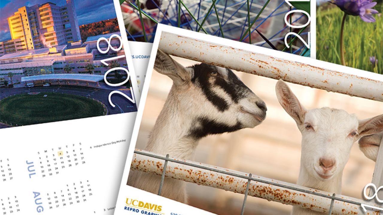 Collage of 2018 UC Davis calendars.