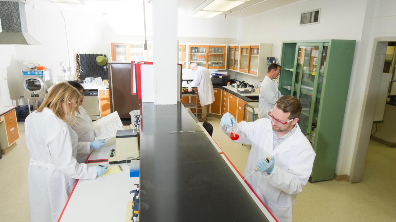 Incubator lab 