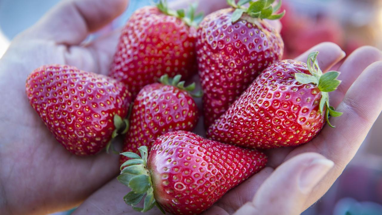 strawberries