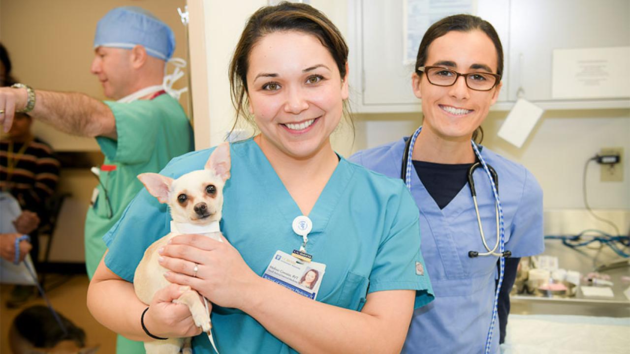 Two people from vet school with small dog