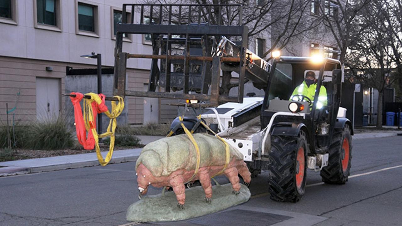 Waterbear statue being moved by forklift.