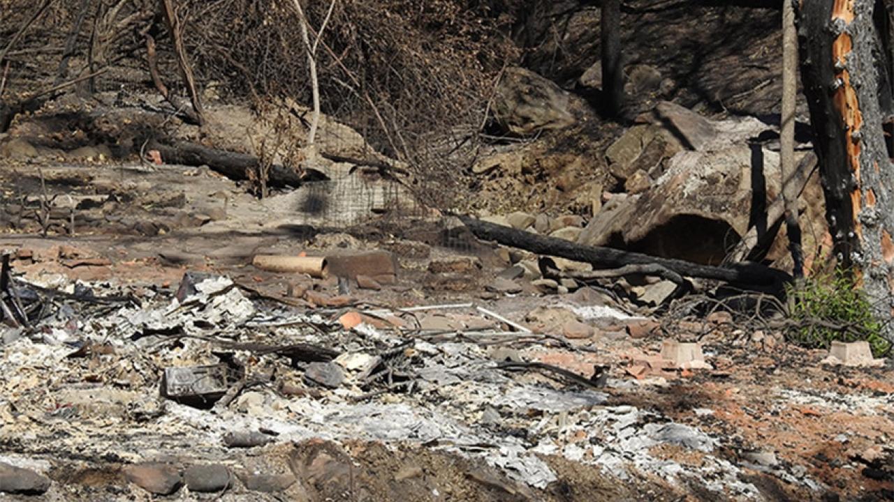 The aftermath of a wildfire.