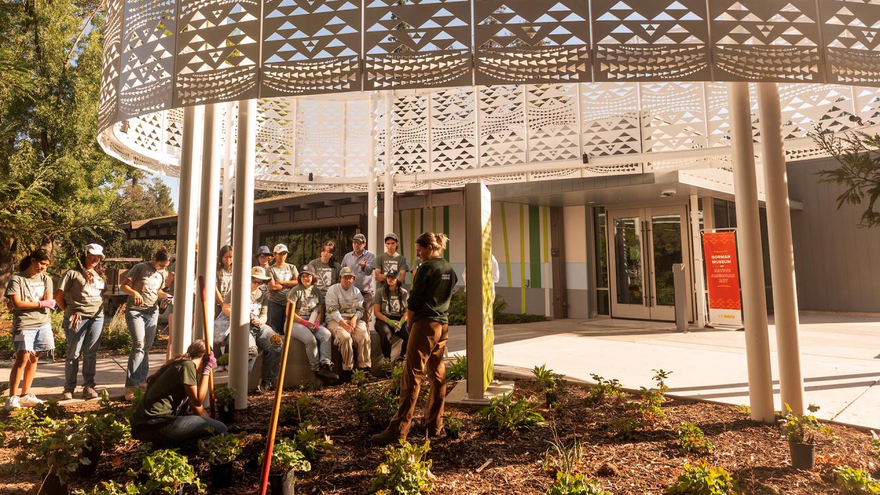 Students outside the Gorman Museum in the landscaping