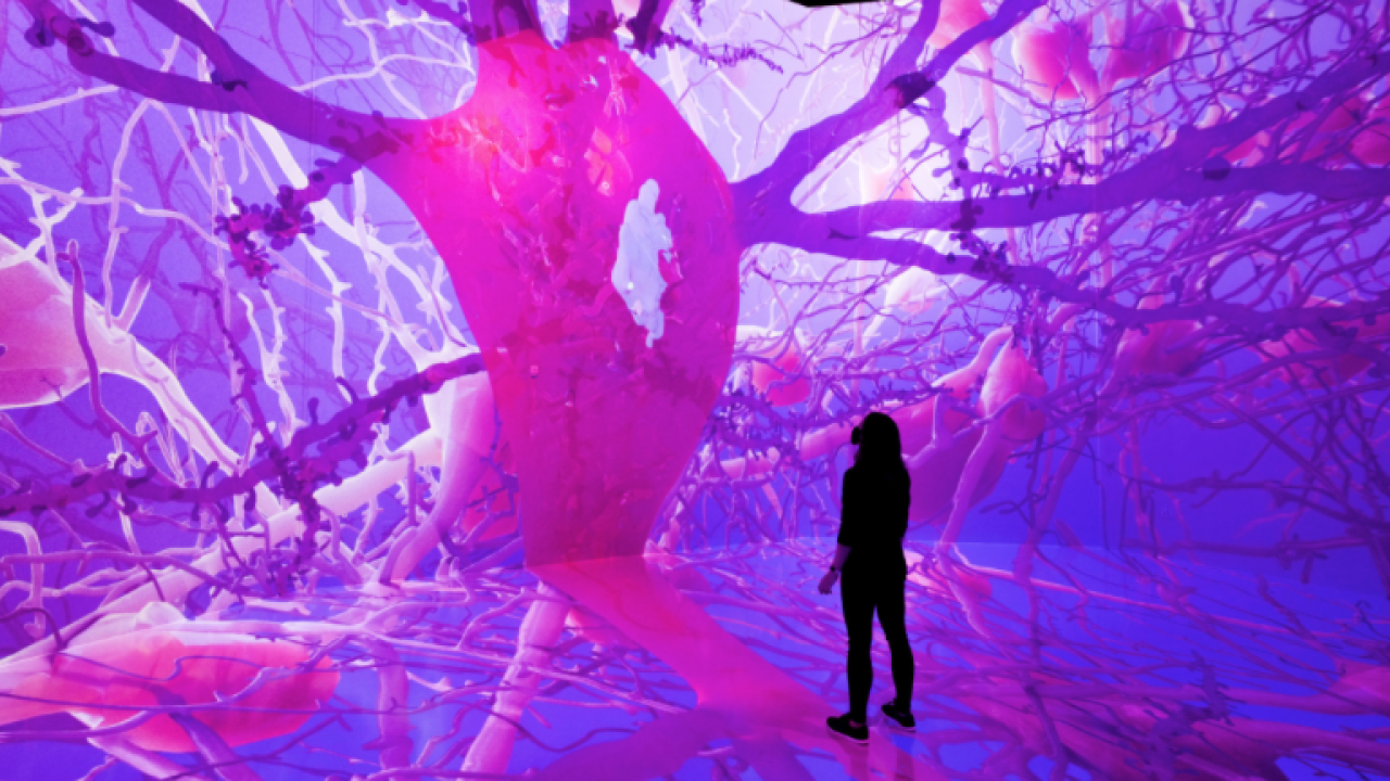 Woman standing in front of neuron exhibit