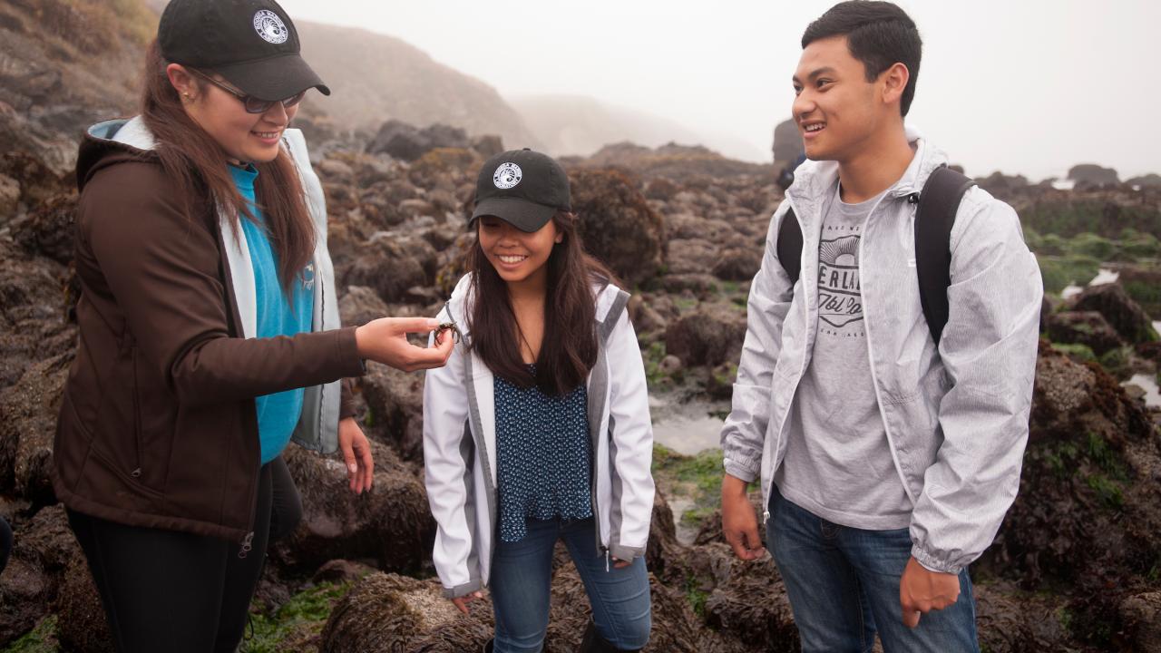 Students at a tide pool at UC Davis. 