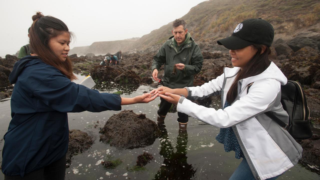 Students standing outside at Bodega bay