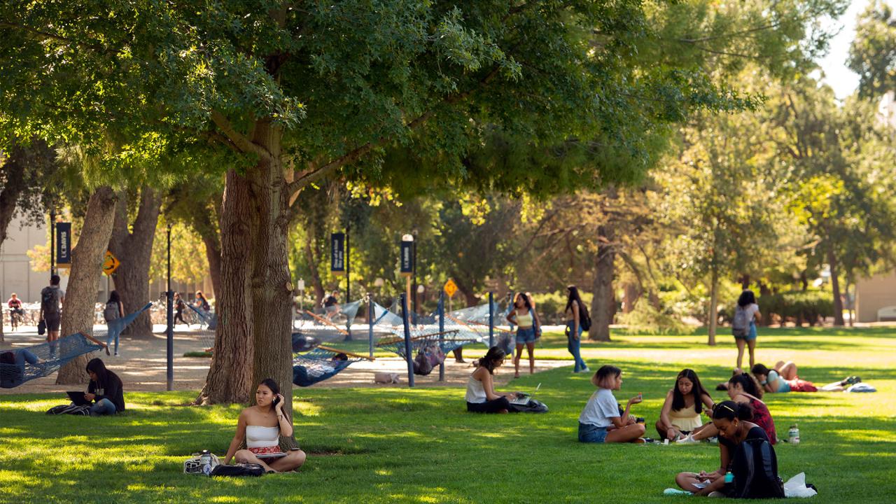 Grassy Quad with students sitting, studying or talking.