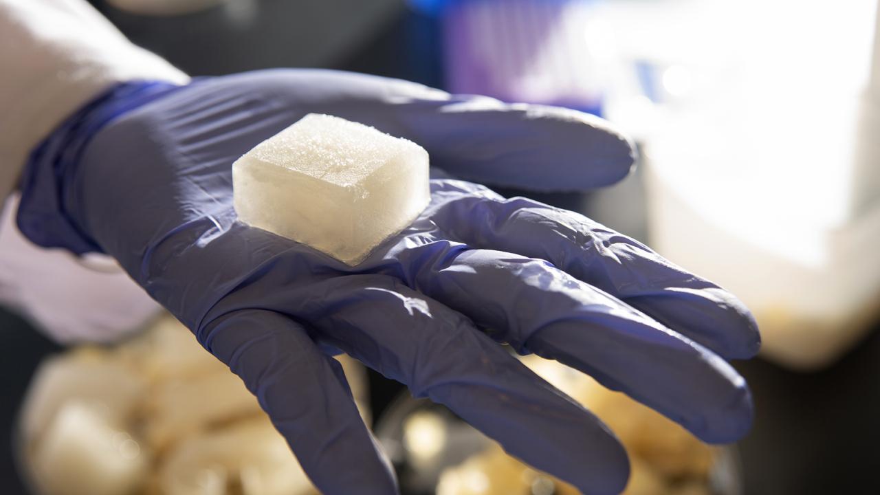 Purple gloved hand holds white jelly ice cube