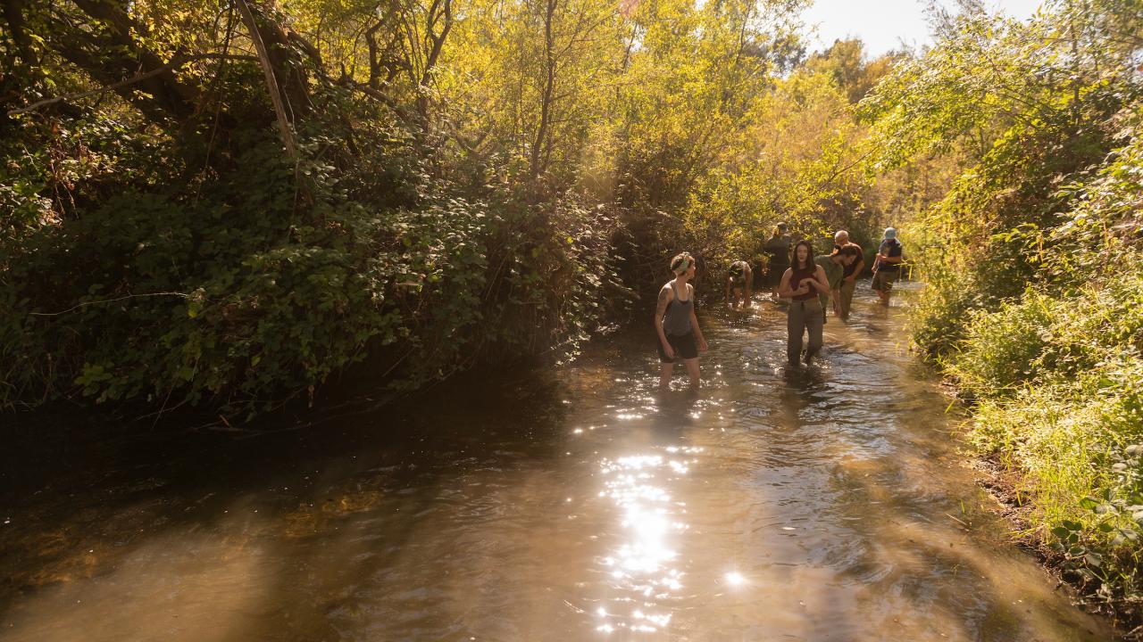 A shallow creek surrounded by trees and bushes. A half dozen young people stand in shallow water in the background. 