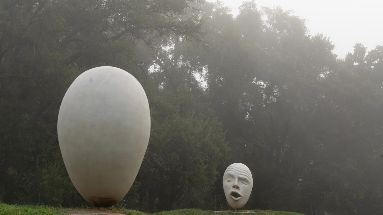 Two white abstract sculptures—one egg-shaped, one carved head—on a grassy mound in fog