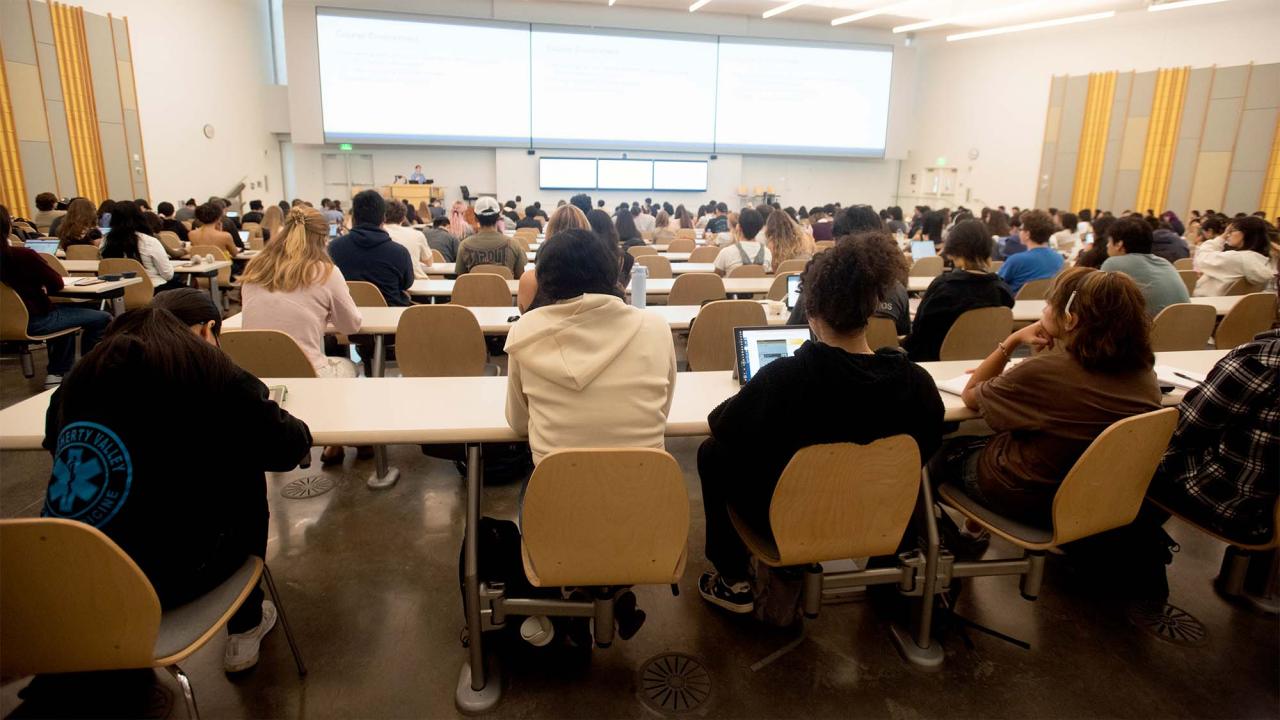 Rear-view photograph of students in a lecture hall facing an instructor.