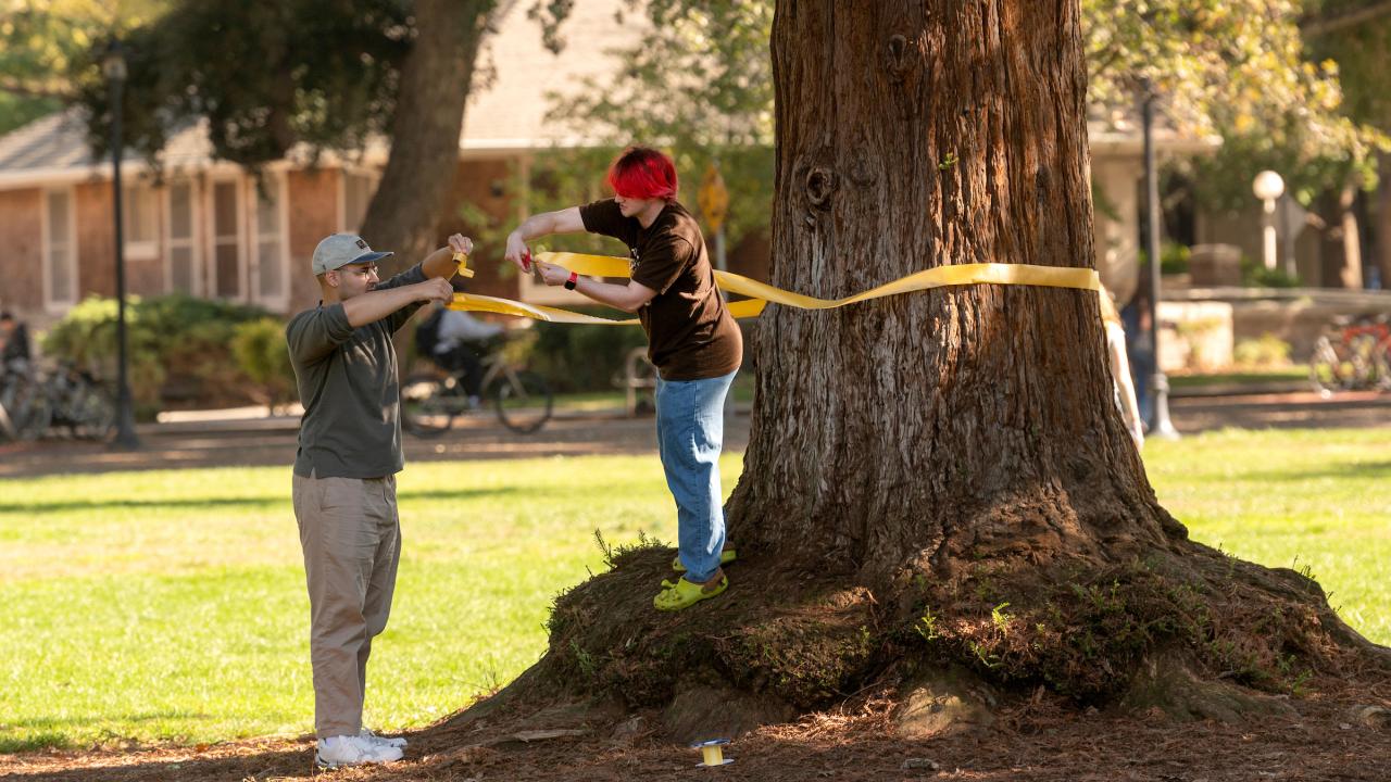 Two people tying a yellow ribbon around a large tree in a sunny park
