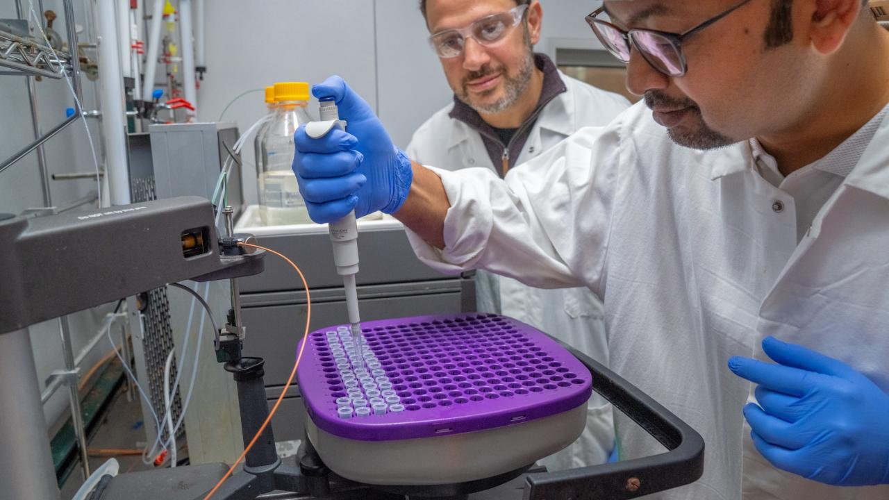 Two scientists pipetting into a purple microplate at a lab bench, wearing gloves and safety glasses