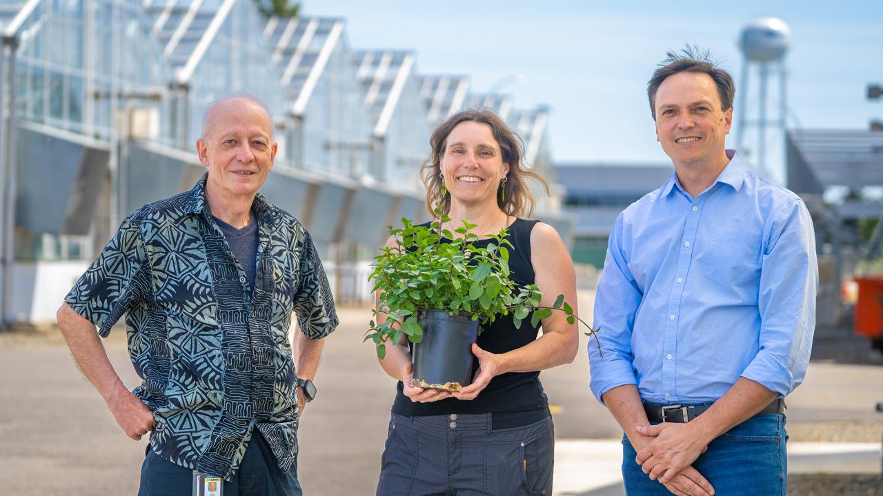 Three smiling adults outdoors near greenhouses, woman center holding potted green plant