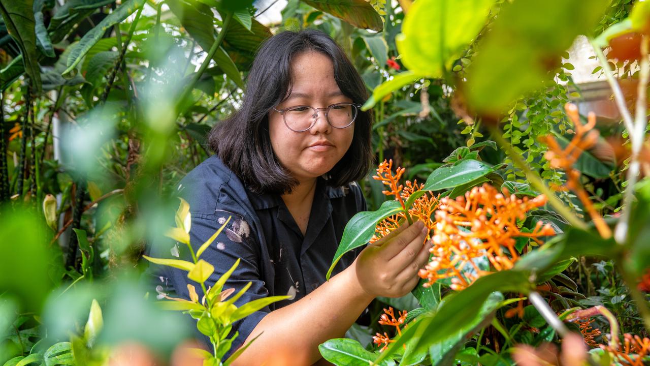 Person with glasses among lush green plants touching an orange cluster of flowers