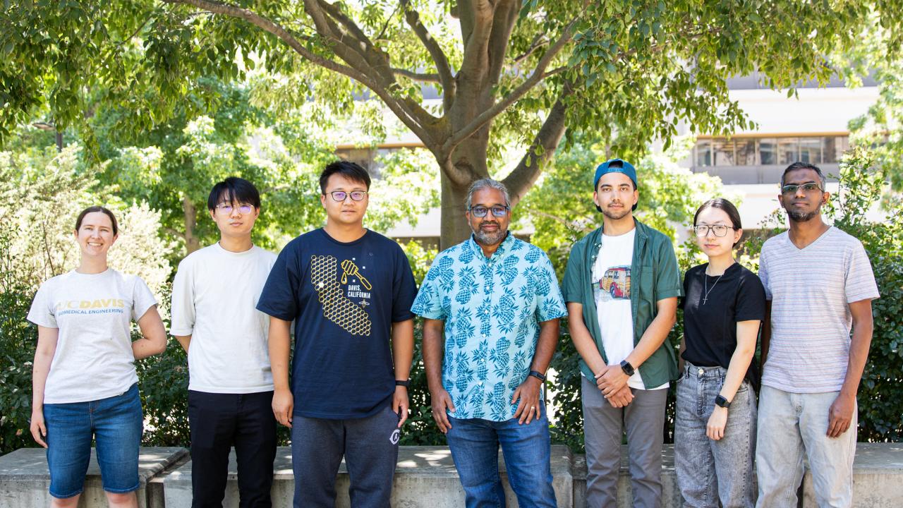 A group of seven people, casually dressed, outdoors under a tree, facing the camera