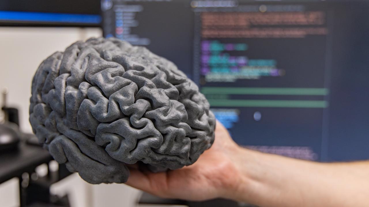 Gray 3D model of a brain being held in a person's outstretched hand