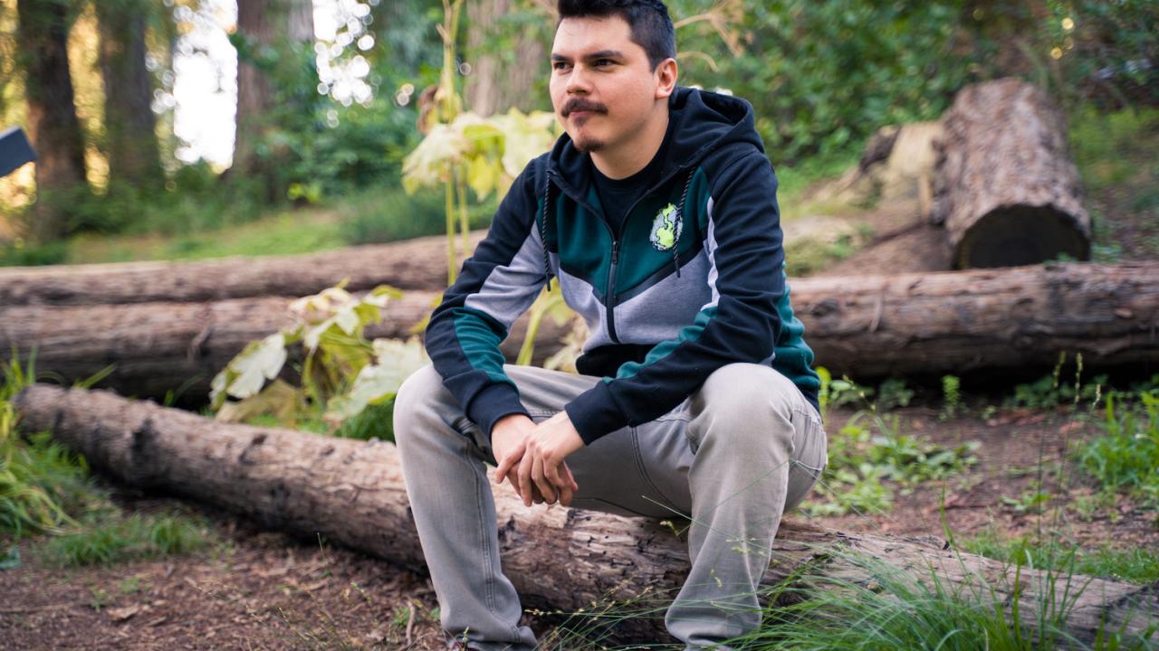 Man sits on log in UC Davis Arboretum's redwood forest