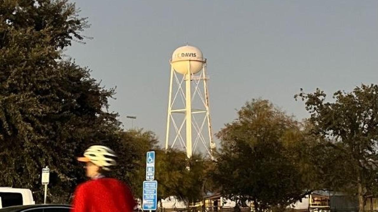 The UC Davis water tower rises above trees as a bicyclist rides past cars on a campus street at sunset.