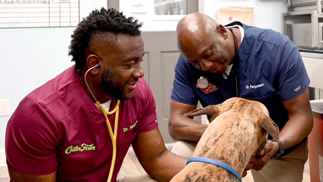 Critter Fixer veterinarians Terrence Ferguson and Vernard Hodges examine a dog at their practice in Georgia