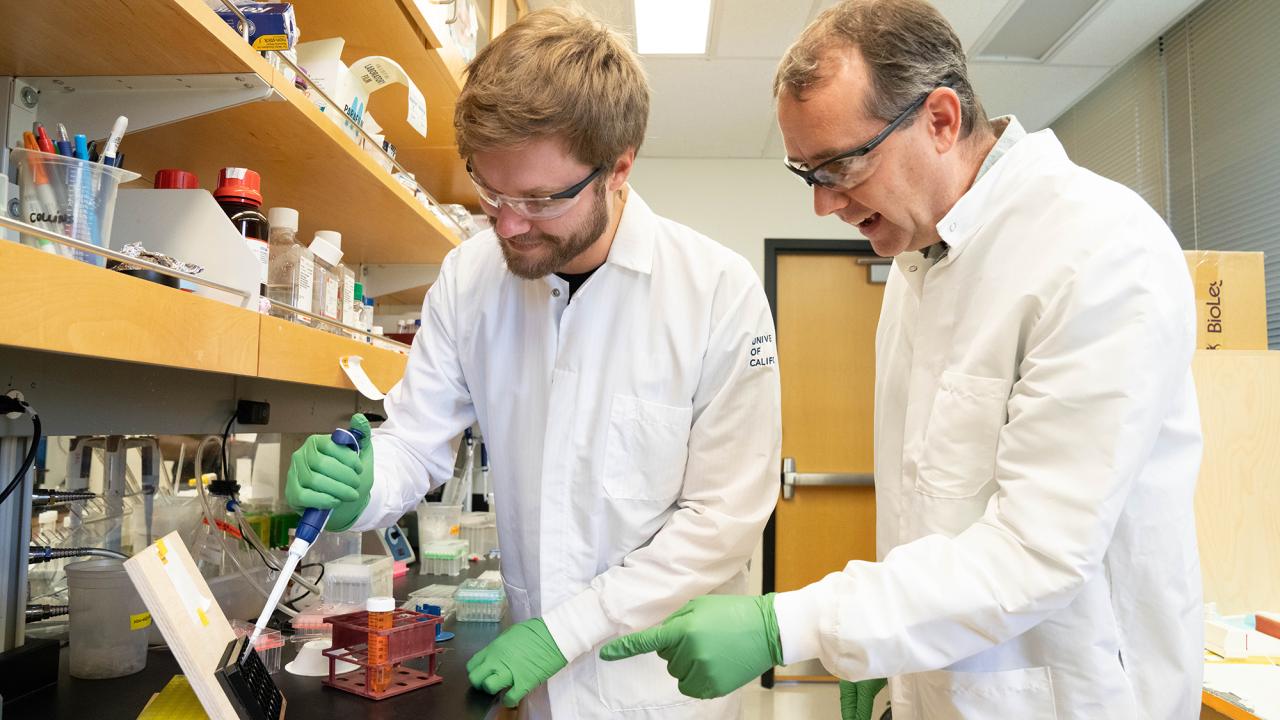 Two white men stand at a laboratory bench. They wear white lab coats, green gloves and safety glasses. 