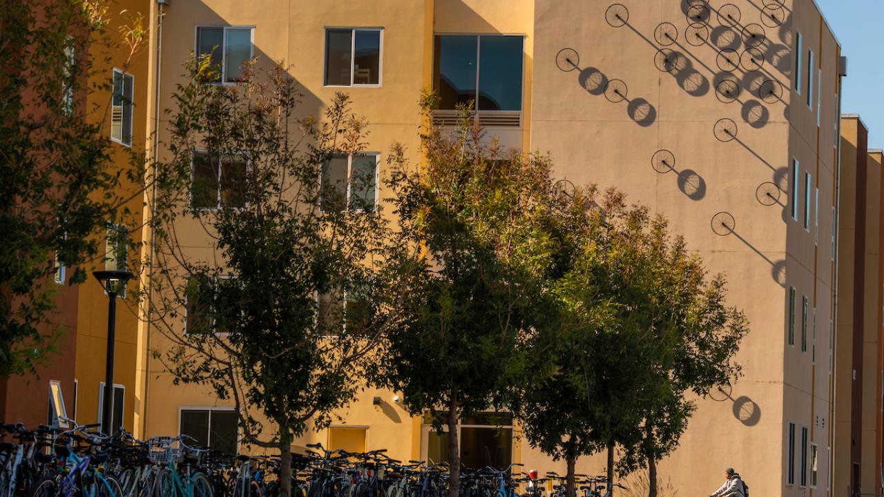 A large group of bicycles with a student riding one bicycle in front of a building.
