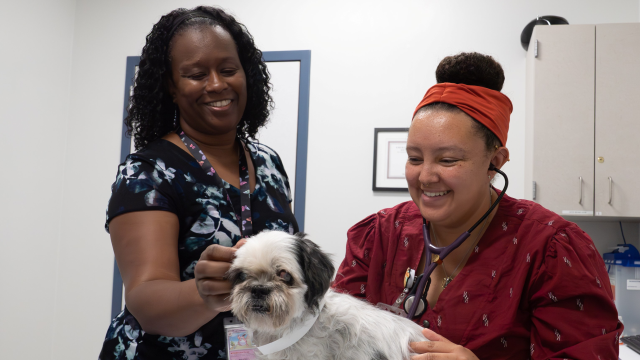 Two women smiling in a veterinary office, one holding a small dog while the other examines it.